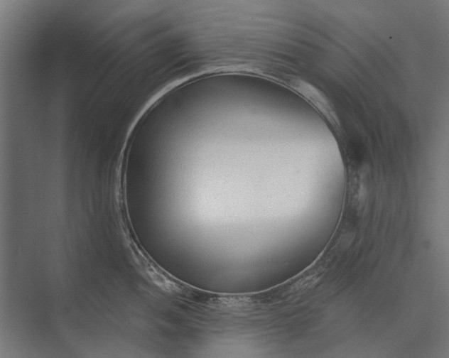 X0000073831052200608240946