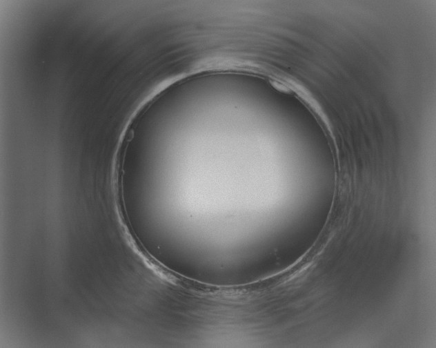 X0000073831053200608240946