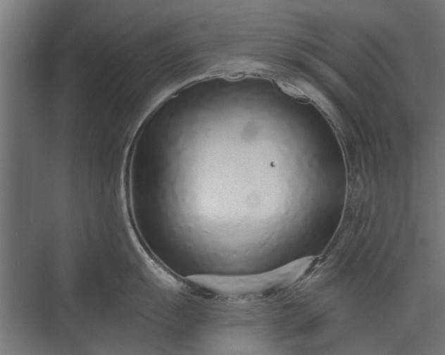 X0000073831055200608240946