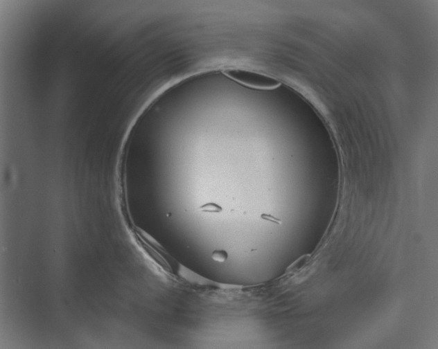 X0000073831056200608240946