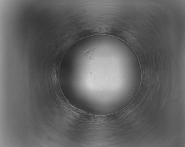 X0000073831058200608240945