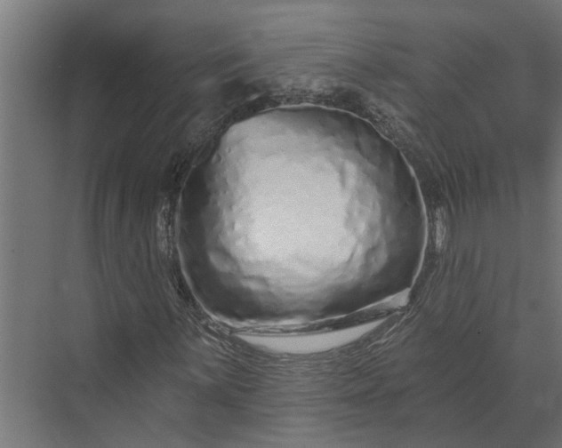 X0000073831059200608240945