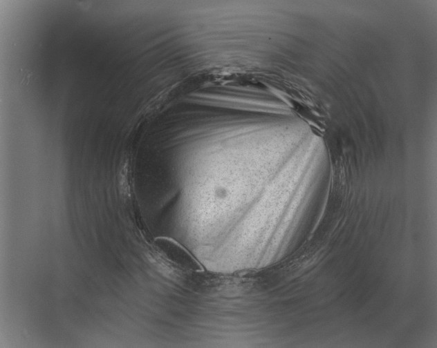 X0000073831060200608240945