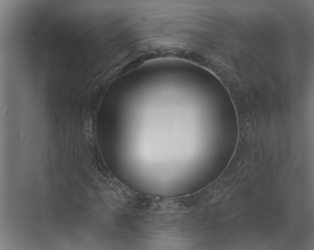 X0000073831061200608240945