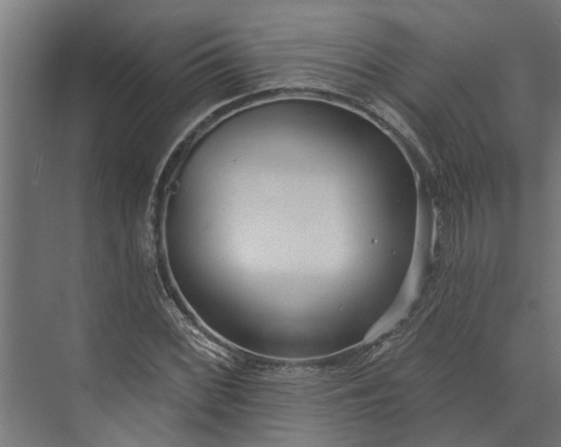 X0000073831068200608240945