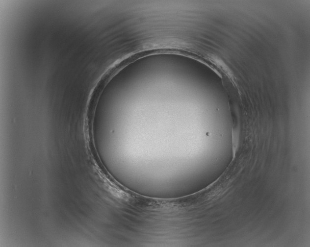 X0000073831072200608240945