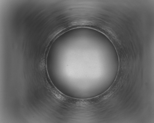 X0000073831073200608240945