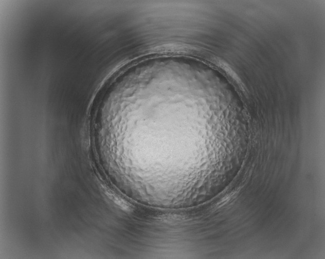 X0000073831075200608240945