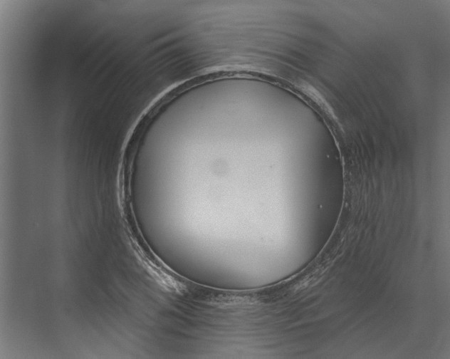 X0000073831076200608240945