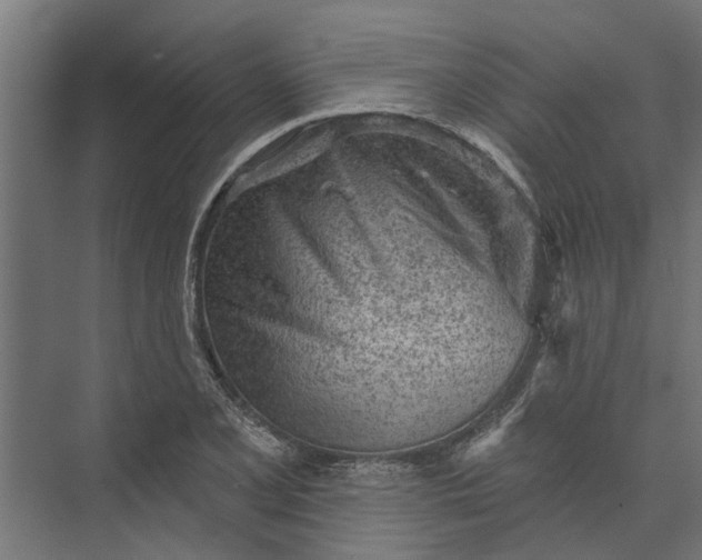 X0000073831077200608240945