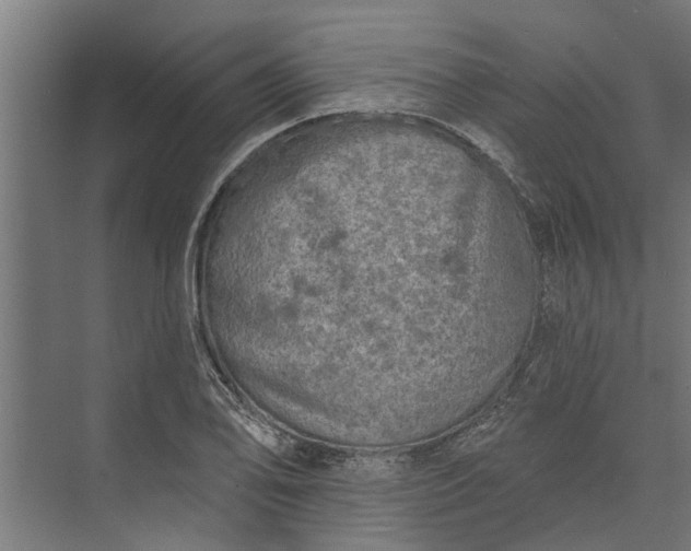 X0000073831078200608240945