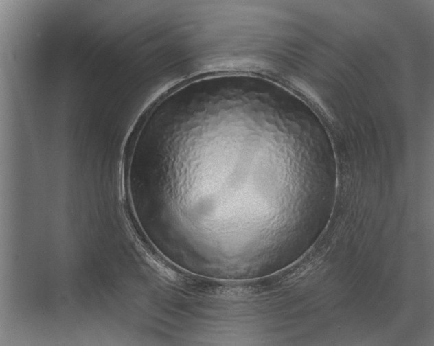 X0000073831079200608240945