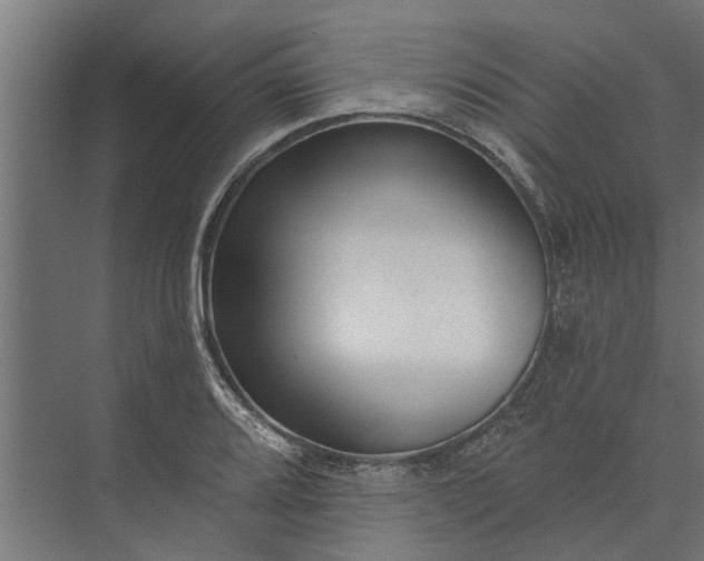 X0000073831080200608240945