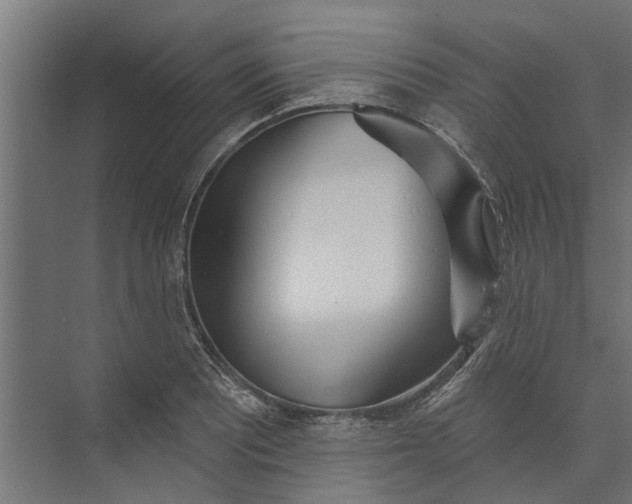 X0000073831081200608240945