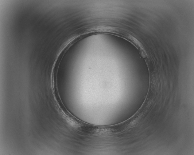 X0000073831082200608240945