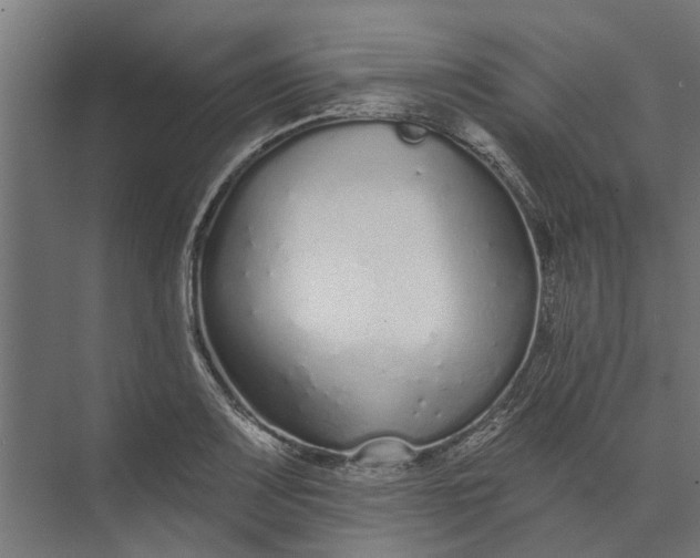 X0000073831083200608240945