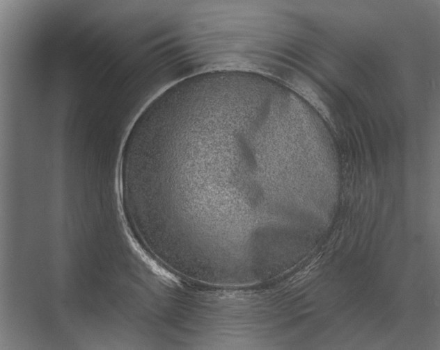 X0000073831084200608240945