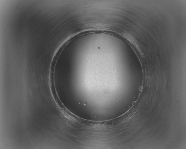 X0000073831085200608240945