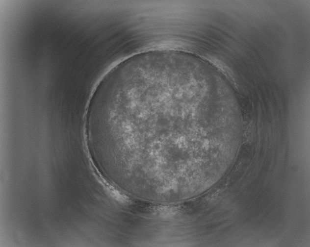 X0000073831086200608240945