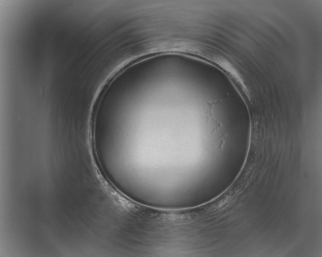 X0000073831088200608240944