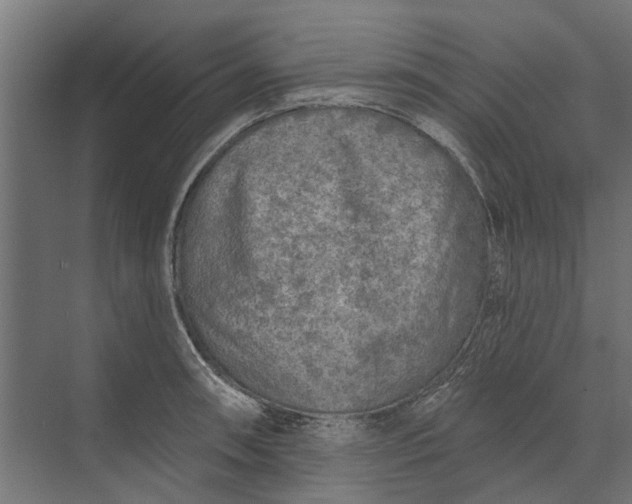 X0000073831090200608240944