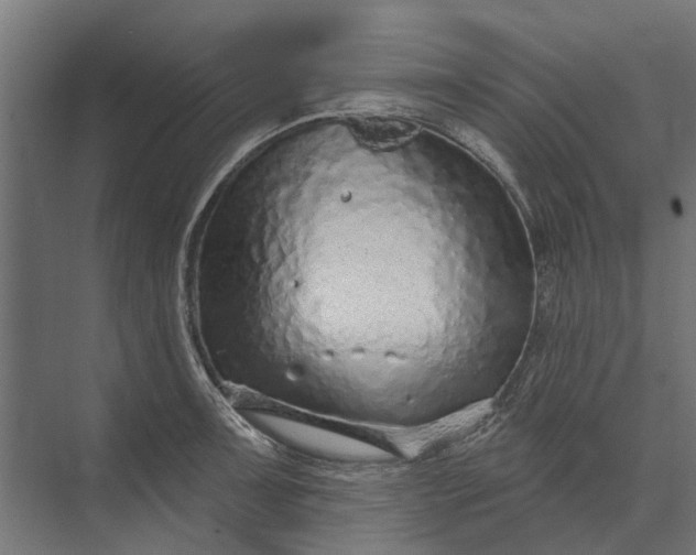 X0000073831091200608240944