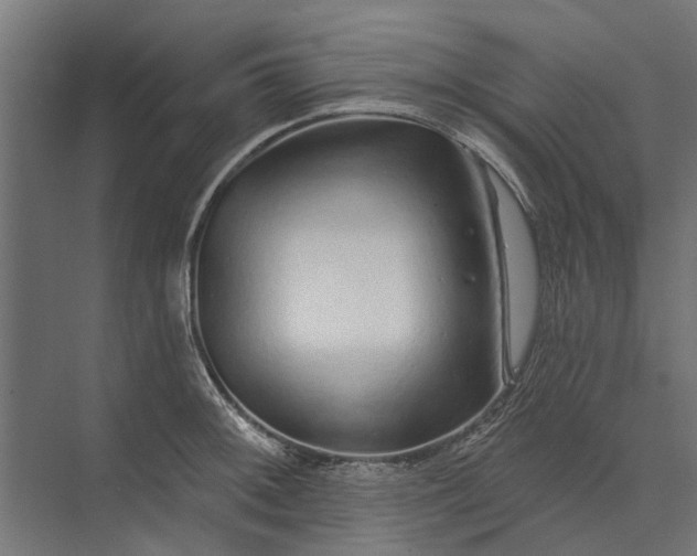 X0000073831092200608240944