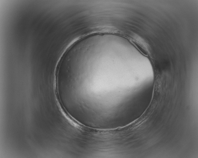 X0000073831095200608240944