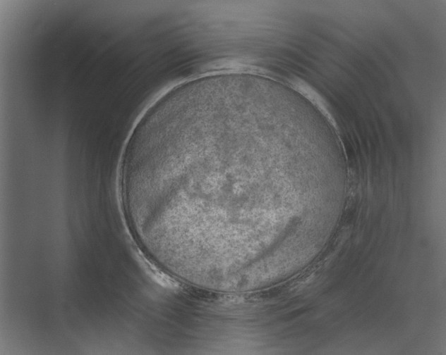 X0000073831098200608240944