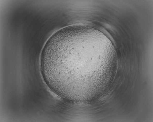 X0000073831099200608240944