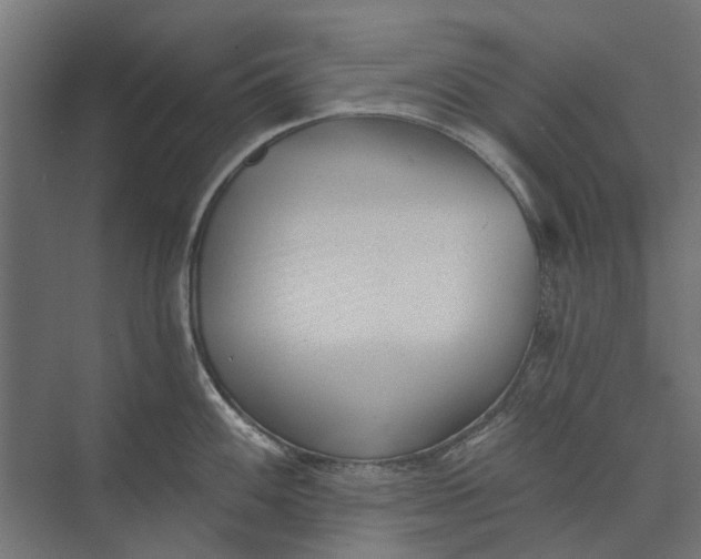 X0000073831100200608240944