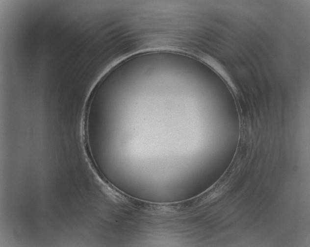 X0000073831101200608240944