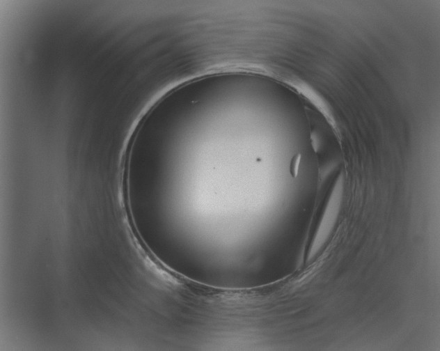 X0000073831102200608240944