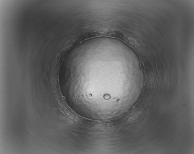 X0000073831105200608240943