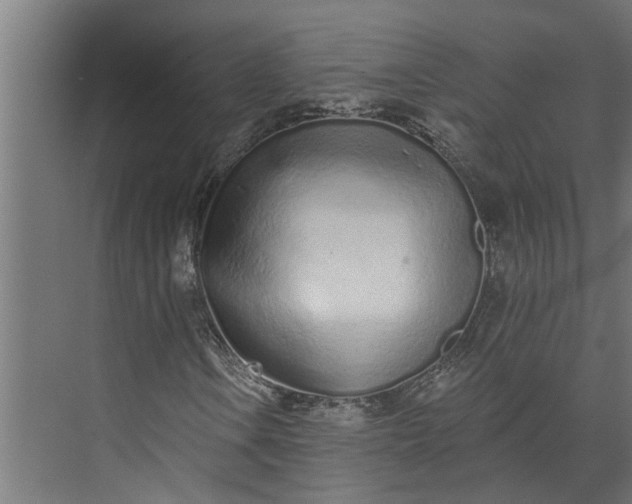 X0000073831106200608240943