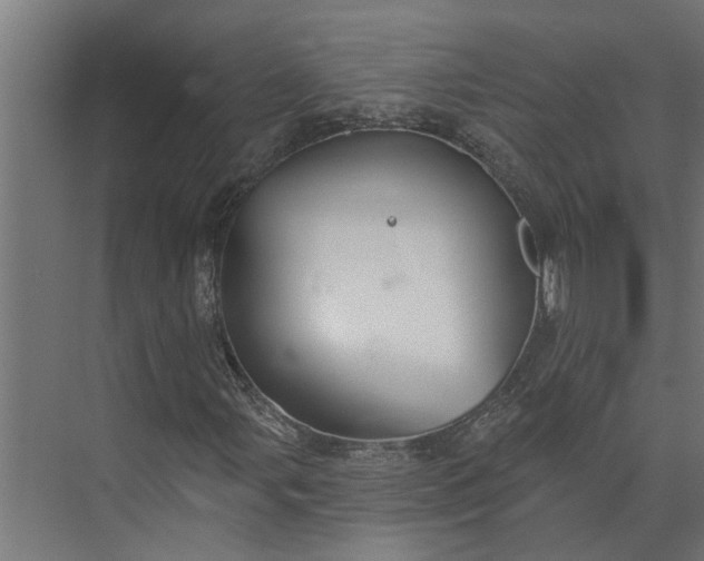 X0000073831107200608240943