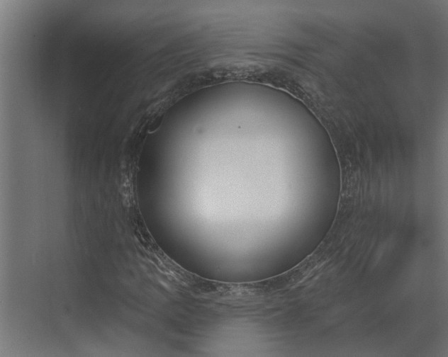 X0000073831109200608240943