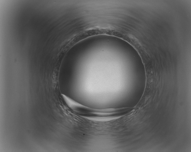 X0000073831110200608240943