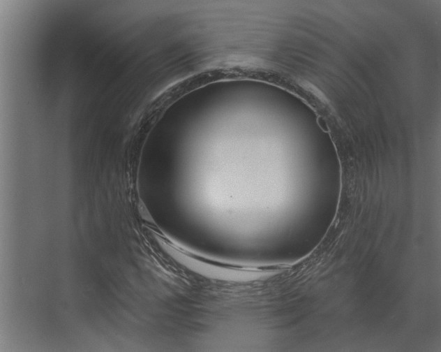 X0000073831112200608240944