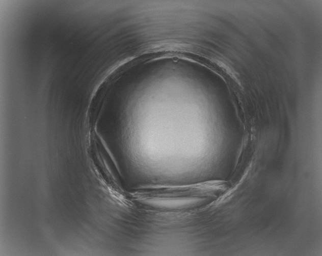 X0000073831117200608240944