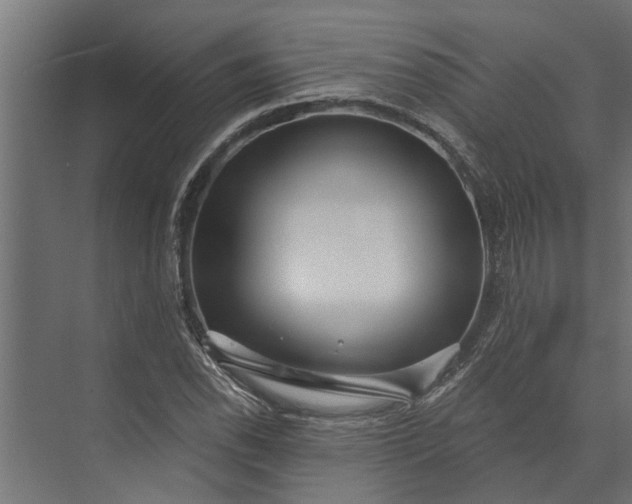 X0000073831118200608240944