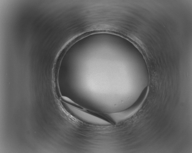 X0000073831120200608240944