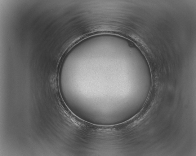 X0000073831121200608240944