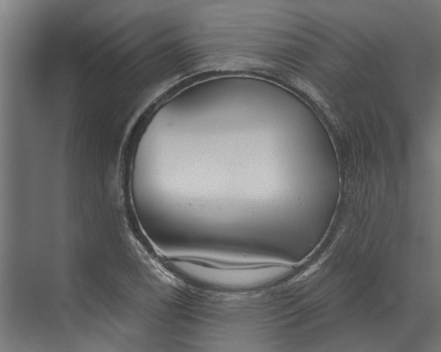 X0000073831122200608240944