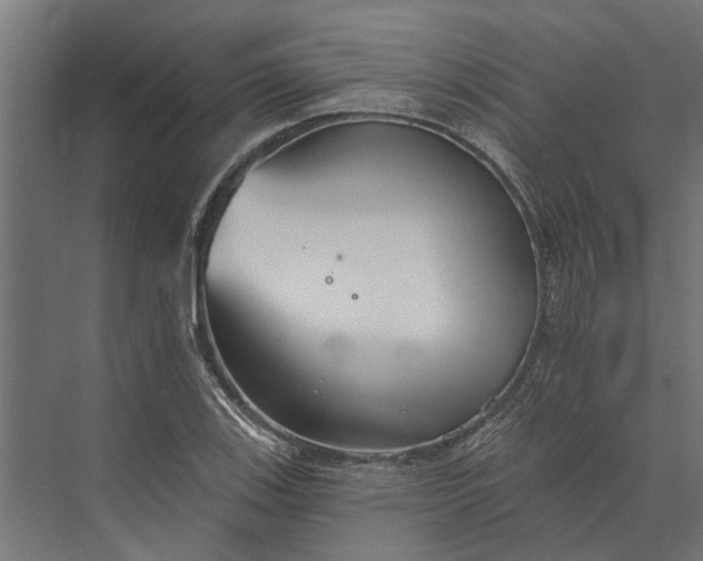 X0000073831123200608240944