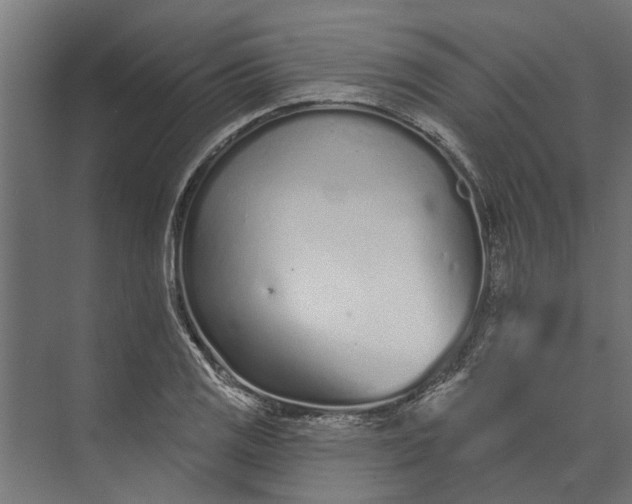 X0000073831125200608240944