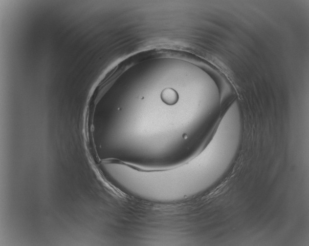 X0000073831128200608240944