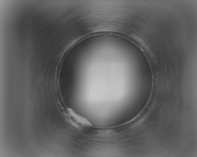 X0000073831129200608240944