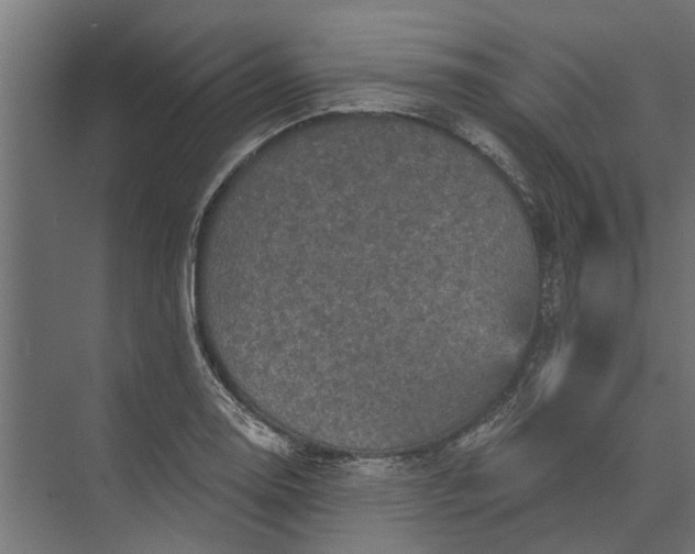 X0000073831130200608240944