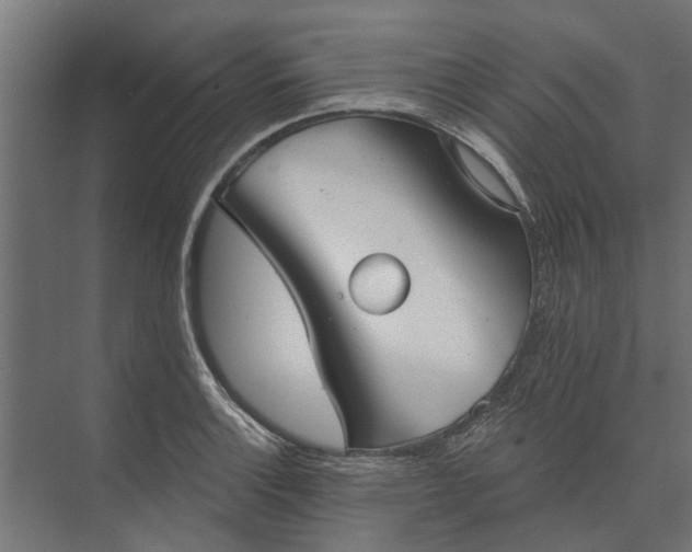 X0000073831132200608240944